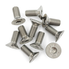 Disc Brake Rotor Screws – For Honda Acura 10-Pack – R20 RACING