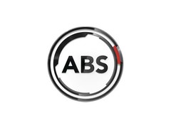 ABS 16442 Rear Brake Discs Pair 245mm Solid Fits Audi VW A4 Passat 8D0615601A
