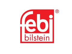 2X Febi 198757 Rear Brake Discs Solid 295MM Fits Haval Ora Chitu Chulian ES11
