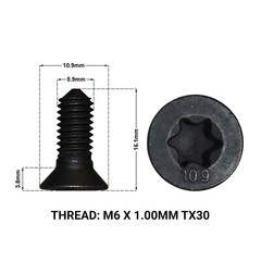 2X FRONT or REAR BRAKE DISC RETAINING SCREWS FITS: CUPRA ATECA 2018- DRS1667EE
